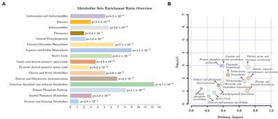 Light Intensity Modulates the Effect of Phosphate Limitation on Carbohydrates, Amino Acids, and Catechins in Tea Plants (Camellia sinensis L.)